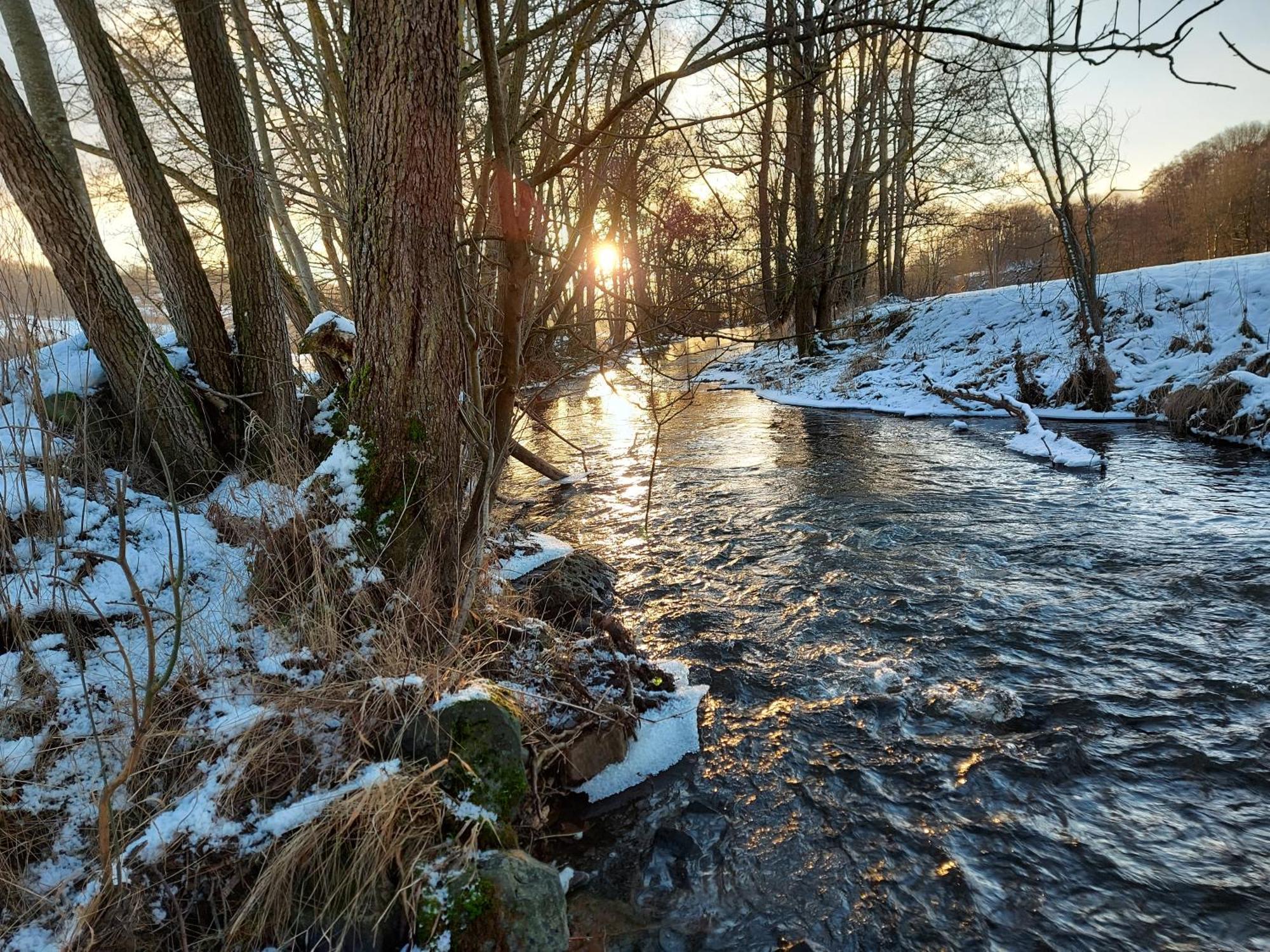 Gaestehaus Hochrhoenblick Schönau an der Brend Esterno foto