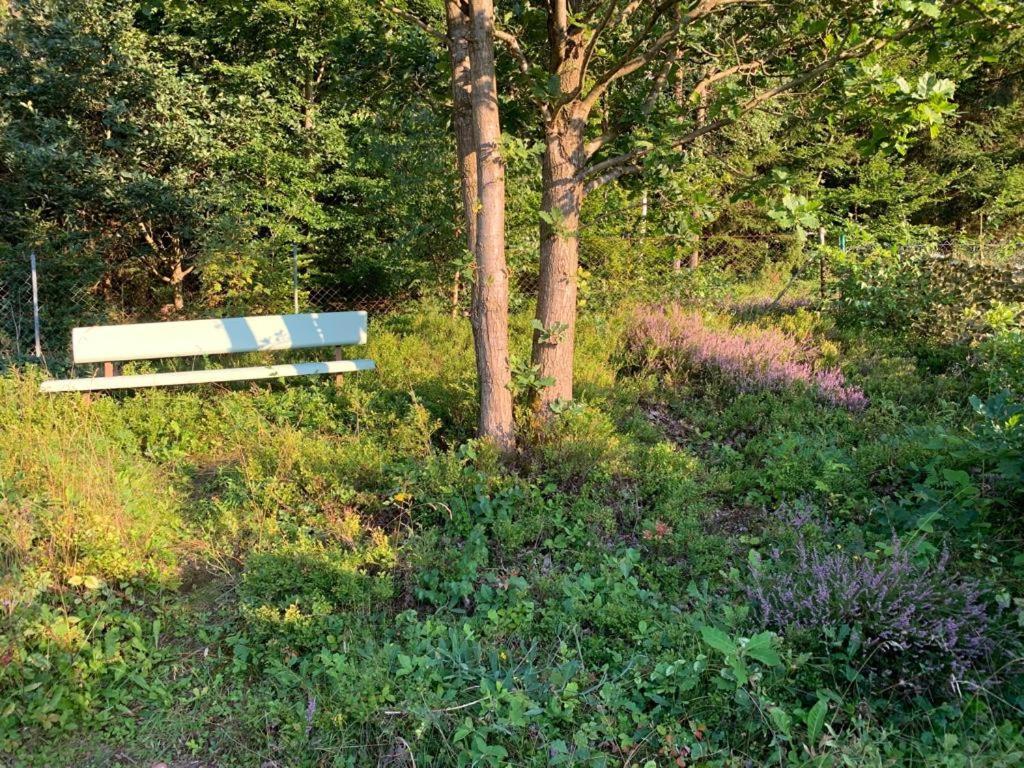 Gaestehaus Hochrhoenblick Schönau an der Brend Esterno foto